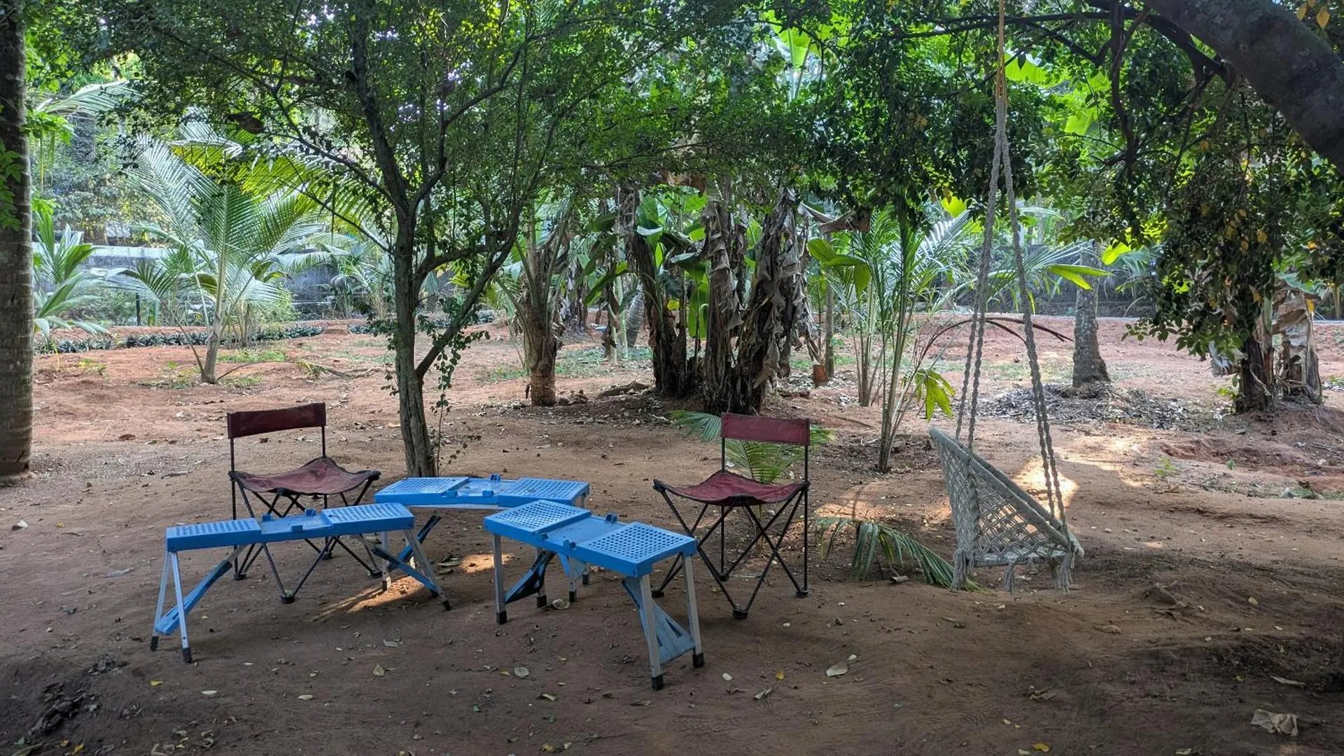 Aalmaram By Kizhakeyil Private Pool Heritage Villa Thiruvananthapuram